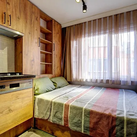 Apartamento In The Center Of Istanbul, 300m From The Bosphorus, Fully Furnished, 2023 Brand New Studio
